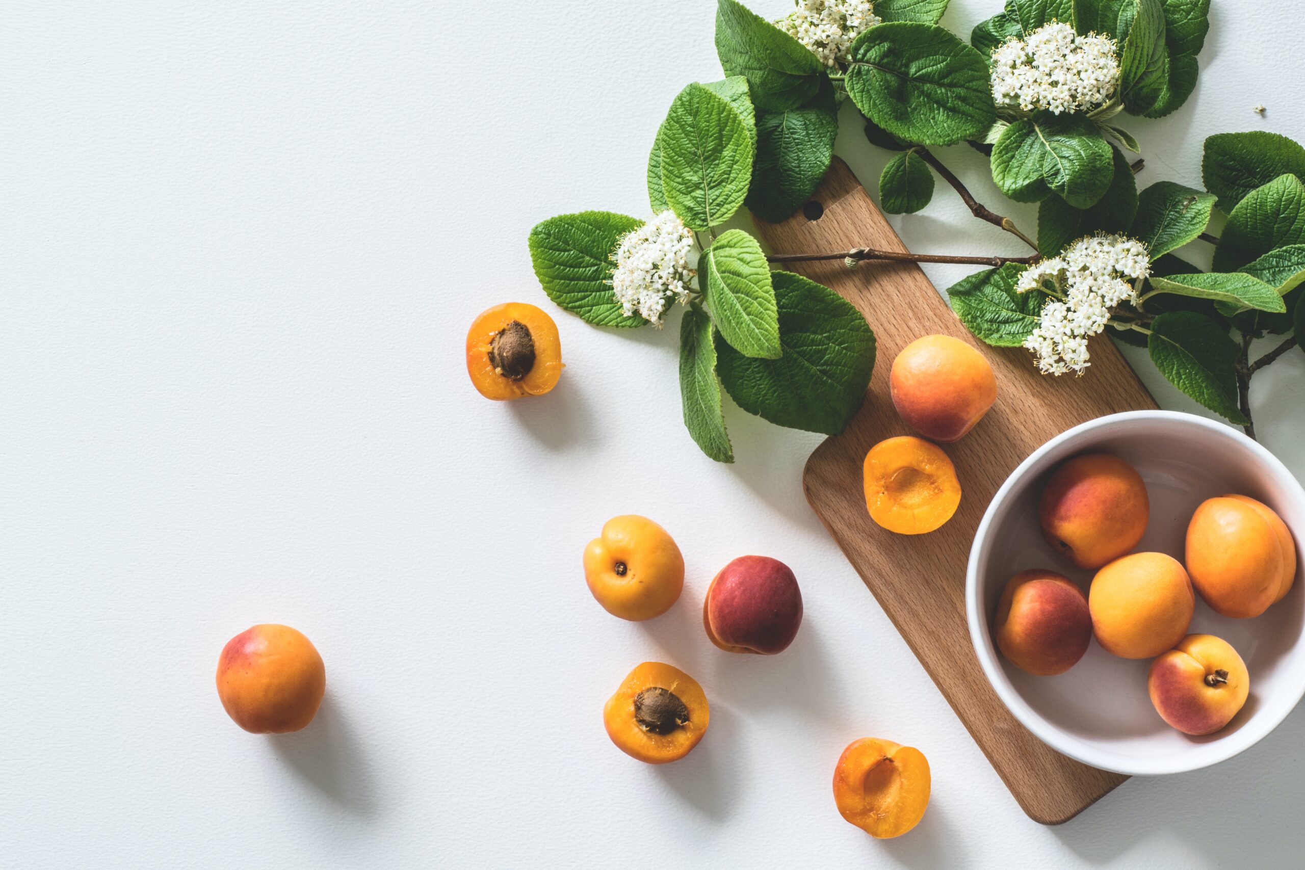Cancer prevention education